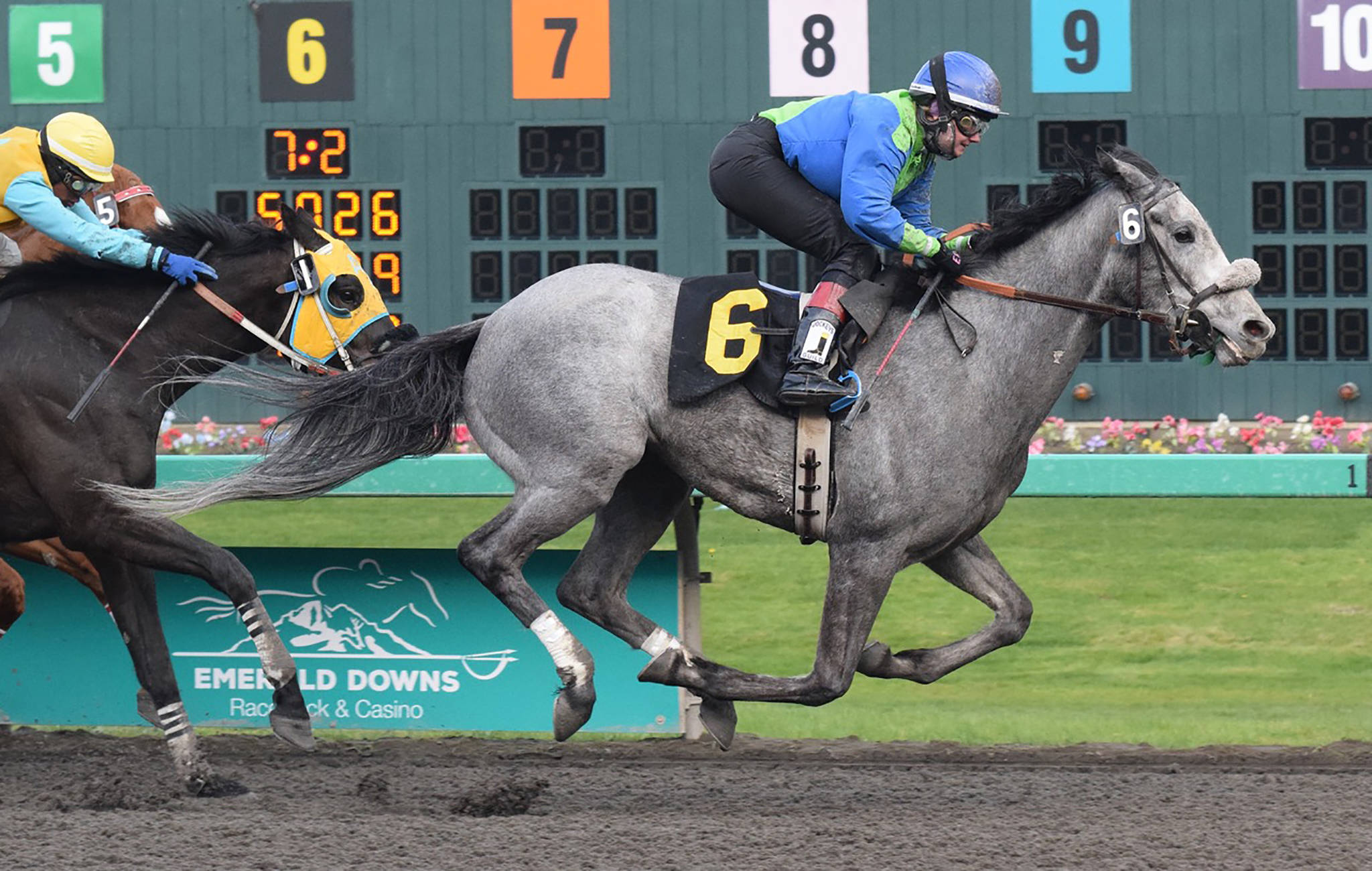 Eliska Kubinova rides Bob Is Back to victory in the first race of the new season at Emerald Downs on Saturday. It was Kubinova’s first win at the Auburn track in two years. RACHEL CIAMPI, Auburn Reporter