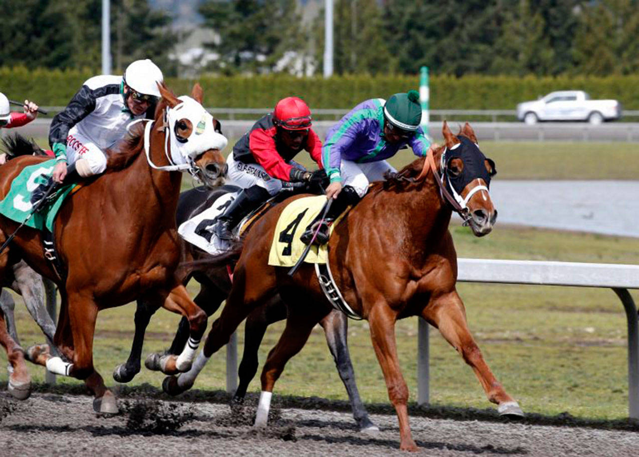 Keller’s Gold holds off Moneydontspenitself to score a giant upset Sunday in the $20,500 allowance feature for 3-year-olds at Emerald Downs. COURTESY PHOTO