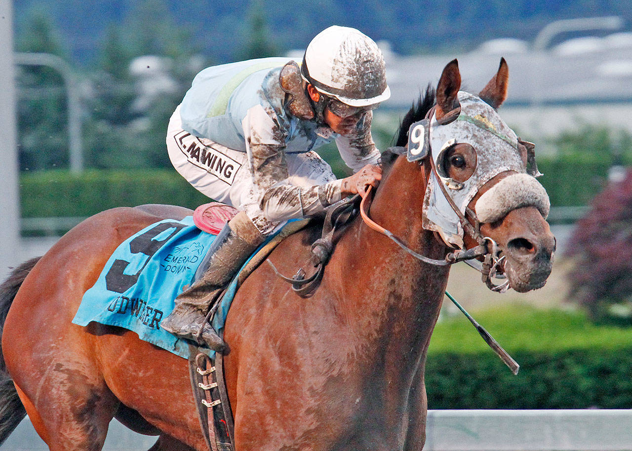 Stryker Phd, with Leslie Mawing up, captures $50,000 Budweiser Handicap at Emerald Downs in 2014. The Washington-bred horse goes to the post in Saturday’s $100,000 San Francisco Mile at Golden Gate Fields. COURTESY PHOTO, Emerald Downs