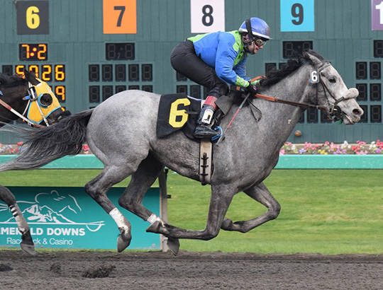 Off and running: Emerald Downs opens new season | PHOTOS