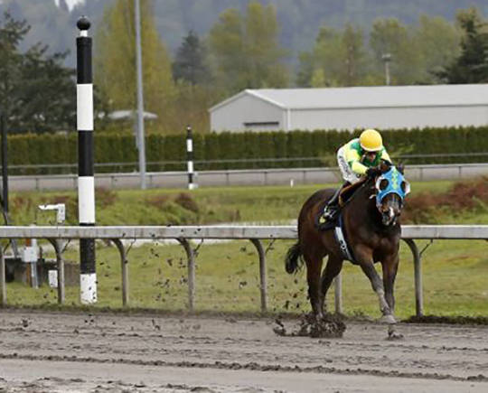 Invested Prospect dazzles in season debut | Emerald Downs