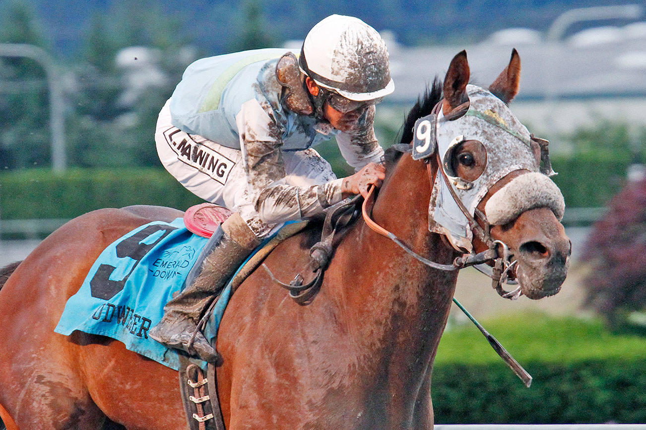 Stryker Phd among seven in San Francisco Mile | Emerald Downs