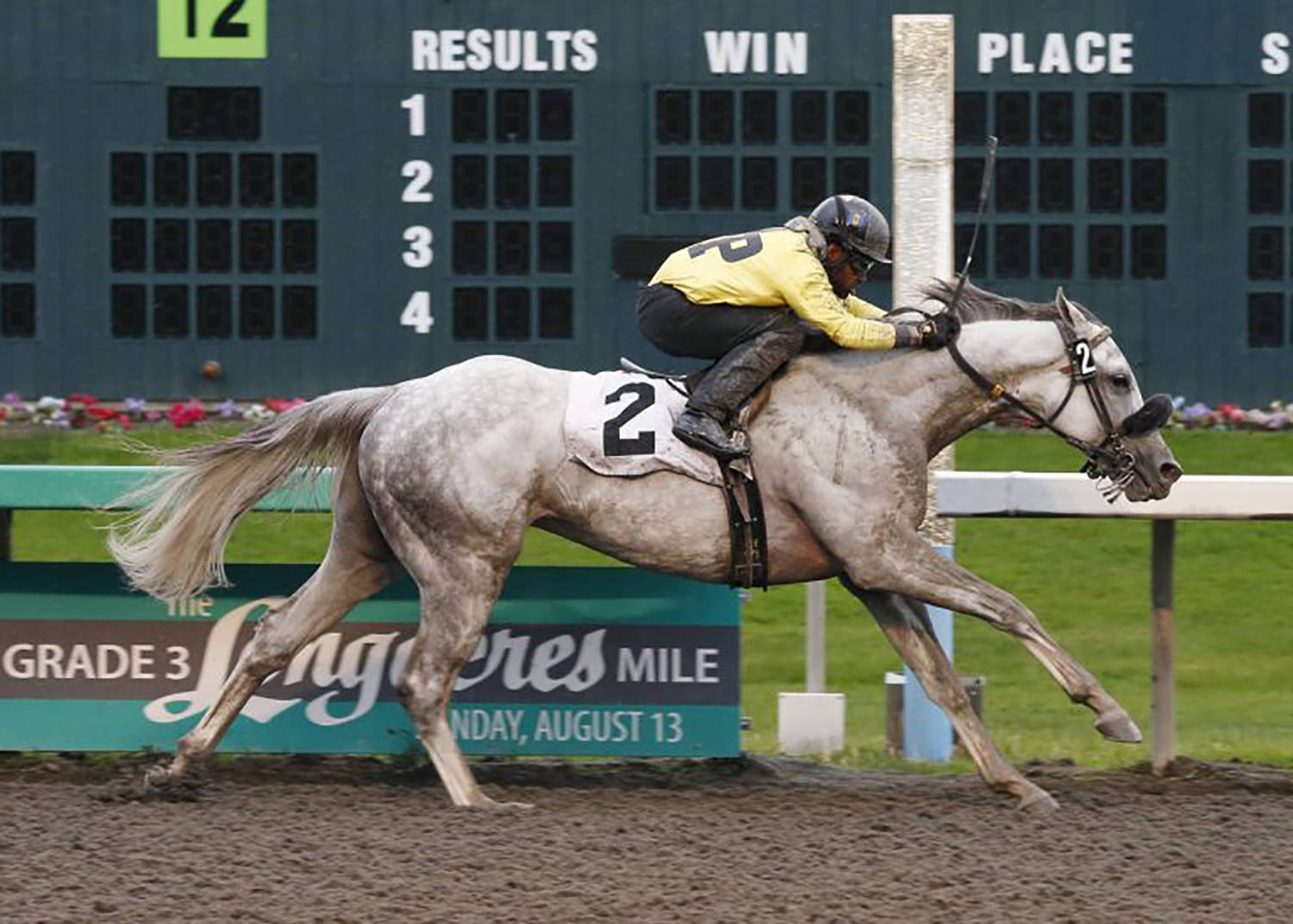 Rocco Bowen rides Blue Law to victory in the $11,300 Muckleshoot Casino Purse for 3-year-olds and up at Emerald Downs on Sunday. COURTESY PHOTO, Emerald Downs