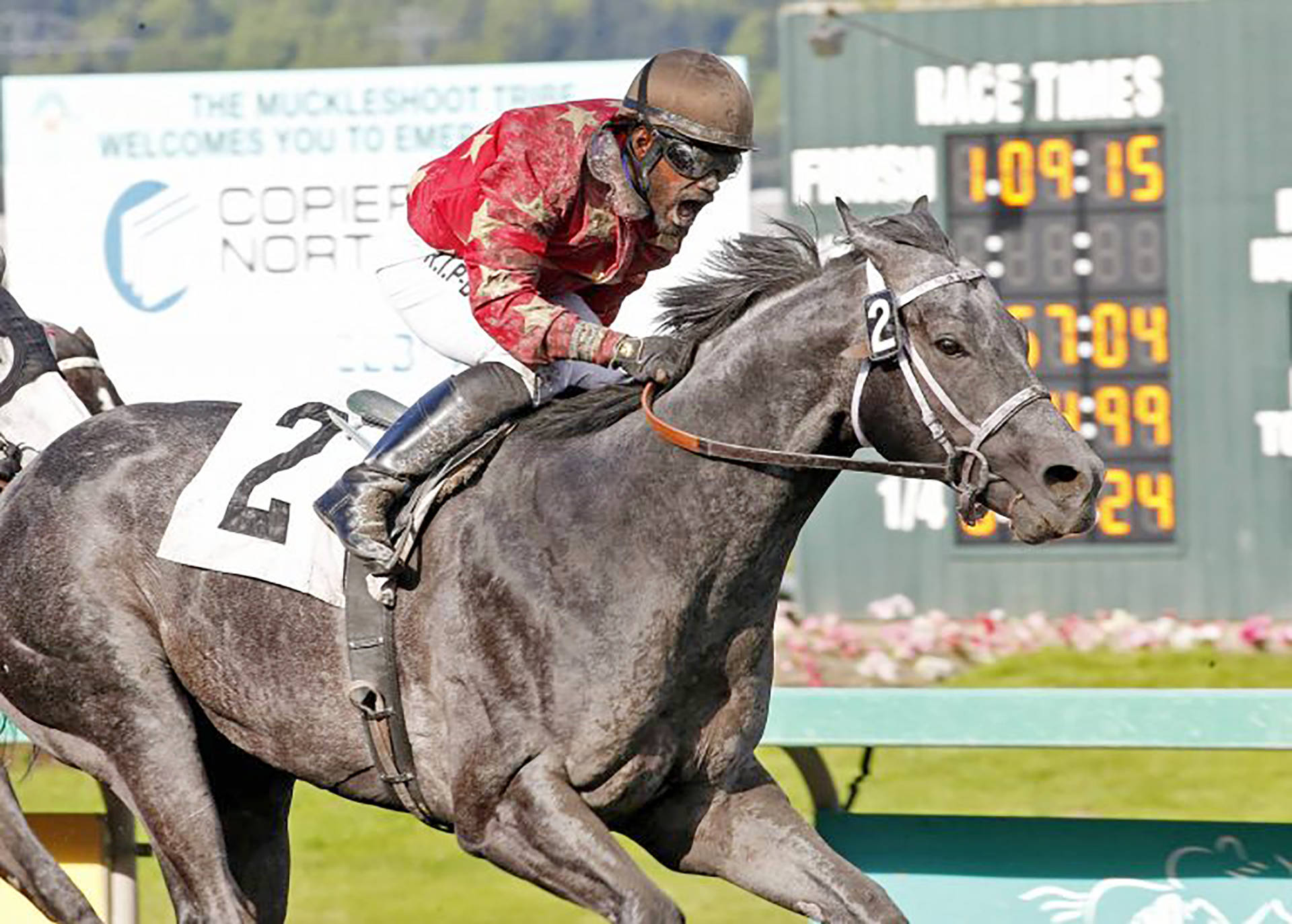Togrammashousewego, with Rocco Bowen up, captured Saturday’s $20,500 allowance/optional claiming feature at Emerald Downs. COURTESY PHOTO, Emerald Downs