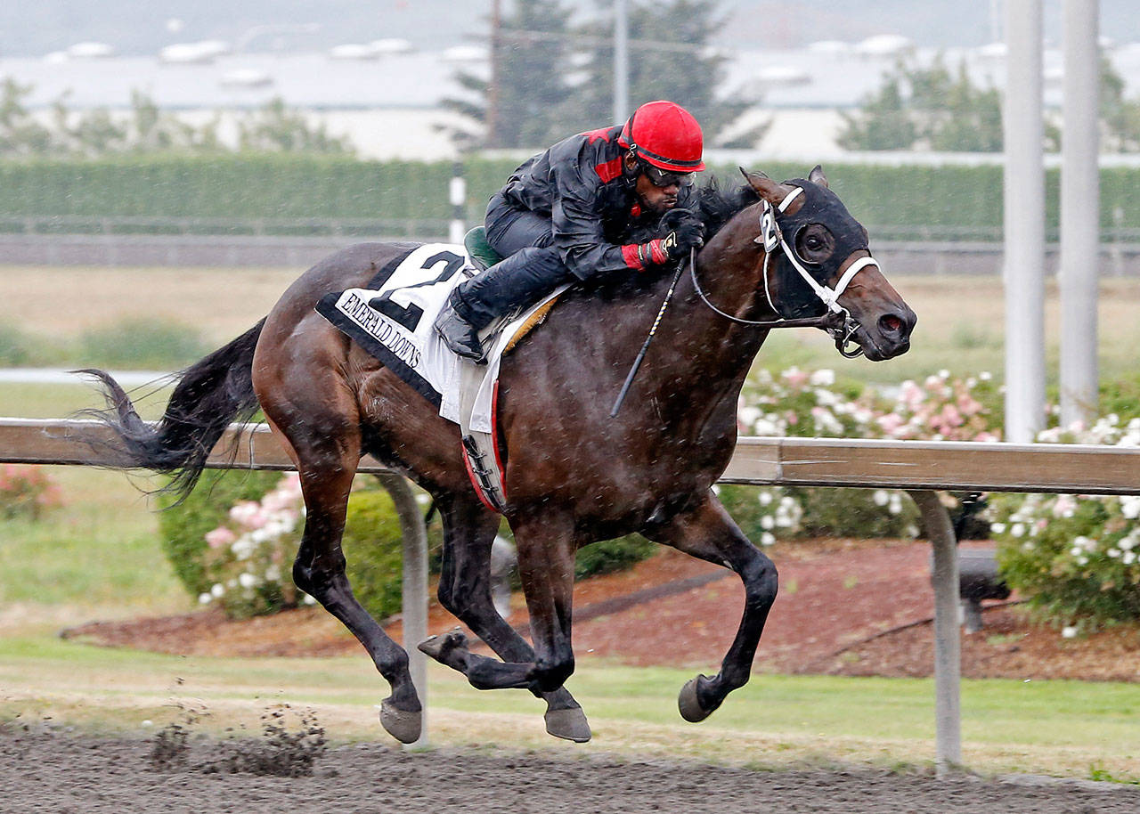 So Lucky and Rocco Bowen, racing to victory in last year’s WTBOA Lads Stakes, are poised and ready for Sunday’s $50,000 Auburn Stakes. COURTESY PHOTO, Emerald Downs