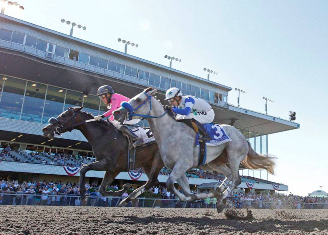 Aqua Frio (pink) and Riser race head-and-head in the Seattle Slew. Aqua Frio, with Kevin Orozco up, posted a head victory in the $50,000 stakes for 3-year-old colts and geldings on July 2. COURTESY PHOTO, Emerald Downs