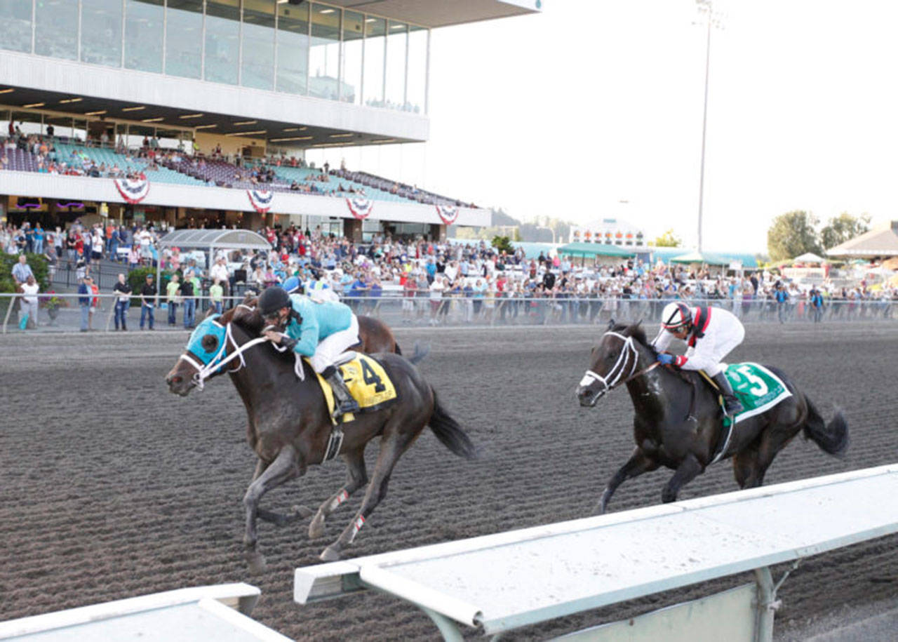 Mach One Rules (No. 4) leads to the wire to take the $50,000 Muckleshoot Tribal Classic at Emerald Downs on Sunday. COURTESY TRACK PHOTO