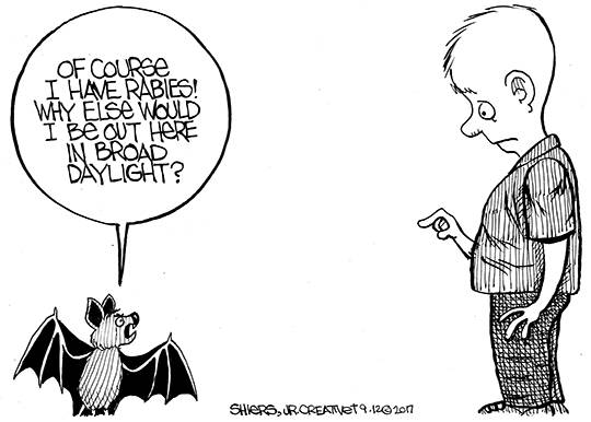 Rabid bat numbers rise | Shiers