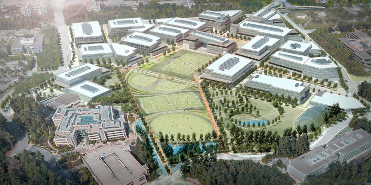 This artist rendering shows the Microsoft planned redevelopment, including the removal of 12 buildings and the construction of 18 new ones, along with open spaces and sports fields. Courtesy of Microsoft