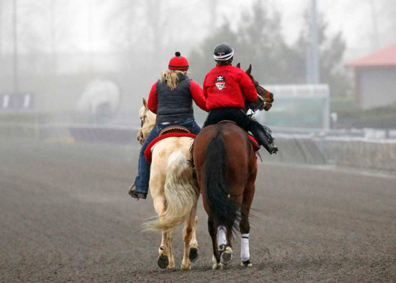 Elliott Bay and Jennifer Whitaker, right, ponied by Kyrie Baze Patino, take to the track to train at Emerald Downs. Elliott Bay, a 3-year-old gelding that won the 2017 Gottstein Futurity at Emerald Downs, is owned by Rising Star Stable II and trained by Howard Belvoir. COURTESY PHOTO, Reed Palmer, Emerald Downs