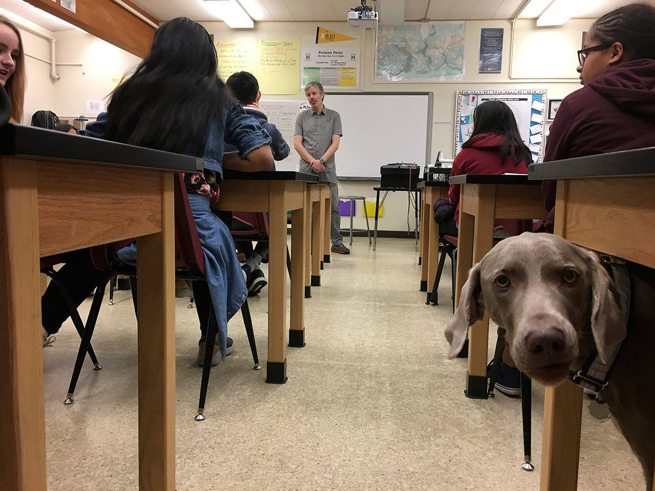 Dr. Rob McMonigle talks to students about his work as a Kent veterinarian as his dog, Wilson, tours the room during the Career Fair at Meeker Middle School. COURTESY PHOTO