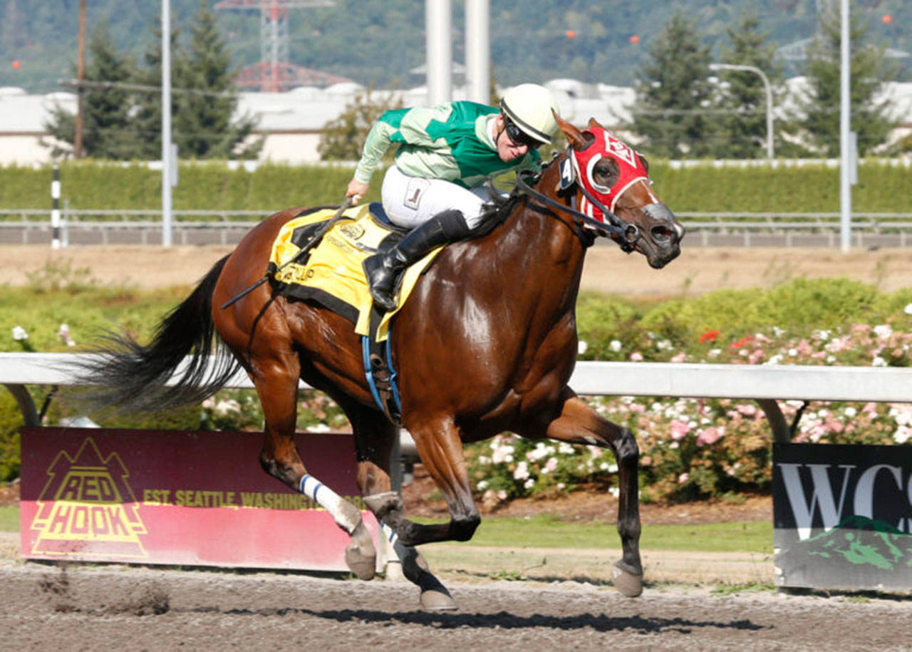 Bella Mia, a four-time winner including three stakes, returns to Emerald Downs as one of the top 3-year-old fillies this meet. COURTESY TRACK PHOTO
