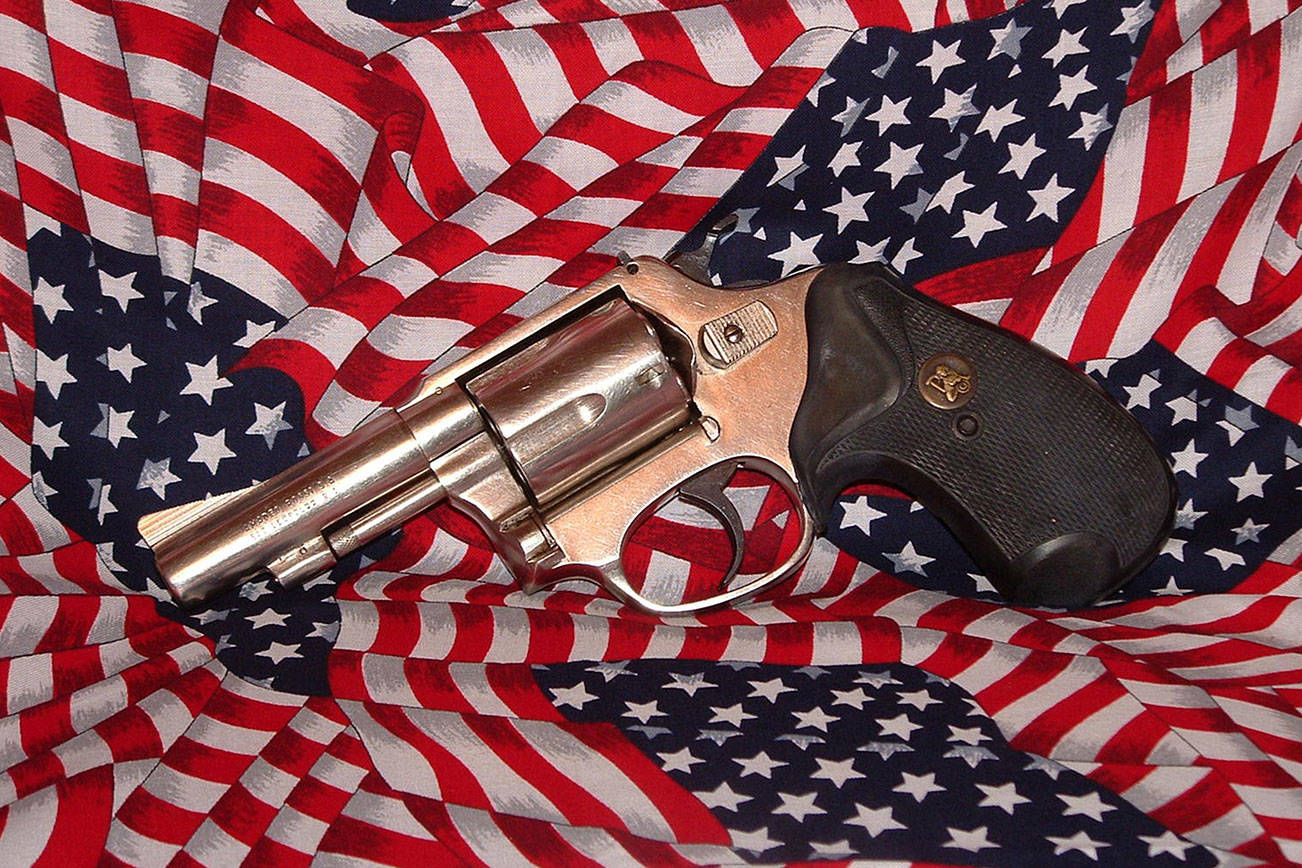 Proposed initiative stokes battle over gun rights