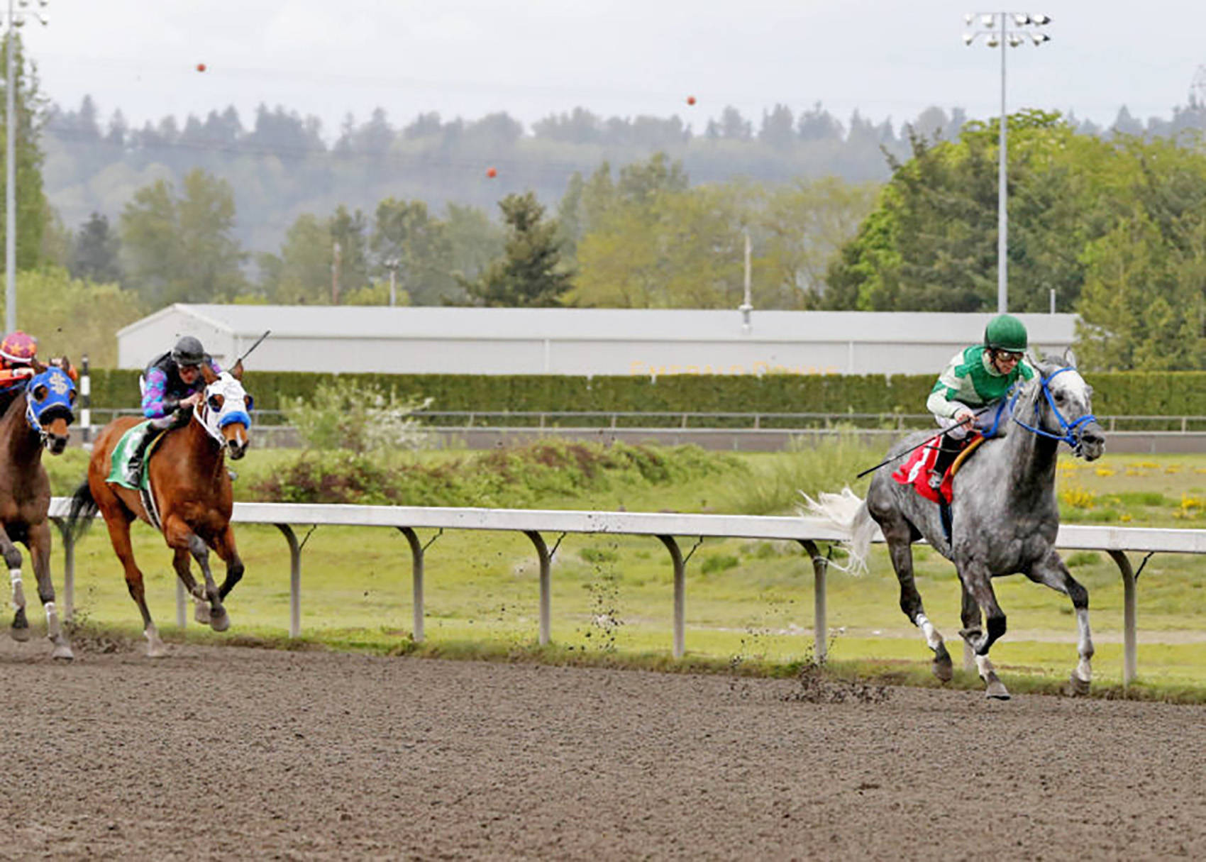 Grand Palais and Erick Lopez dominate Sunday’s feature race at Emerald Downs. COURTESY TRACK PHOTO