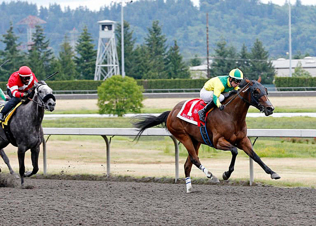 Bella Mia, with Julien Couton up, dashes down the stretch to capture the $50,000 Kent Stakes at Emerald Downs on Sunday. COURTESY TRACK PHOTO
