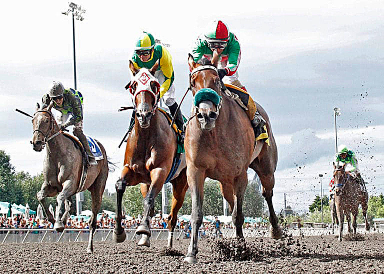 Diamonds R and Leonel Camacho-Flores score a $28.20 upset in the $50,000 Irish Day Stakes for 3-year-old fillies at Emerald Downs on Sunday. COURTESY TRACK PHOTO