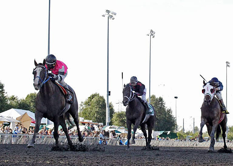 Sippin Fire scores convincing win in $50,000 Seattle Slew Stakes