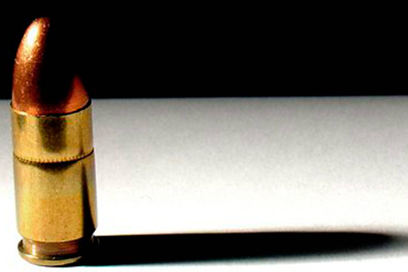 High court to decide fate of gun control ballot measure