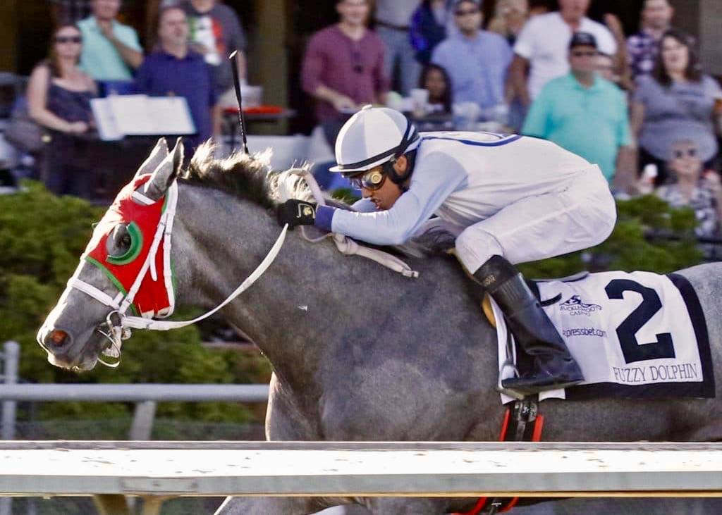 Fuzzy Dolphin, with Kevin Orozco up, races to victory in the $50,000 Washington Cup Juvenile Colts & Geldings Stakes presented by Muckleshoot Casino at Emerald Downs on Sunday. COURTESY TRACK PHOTO