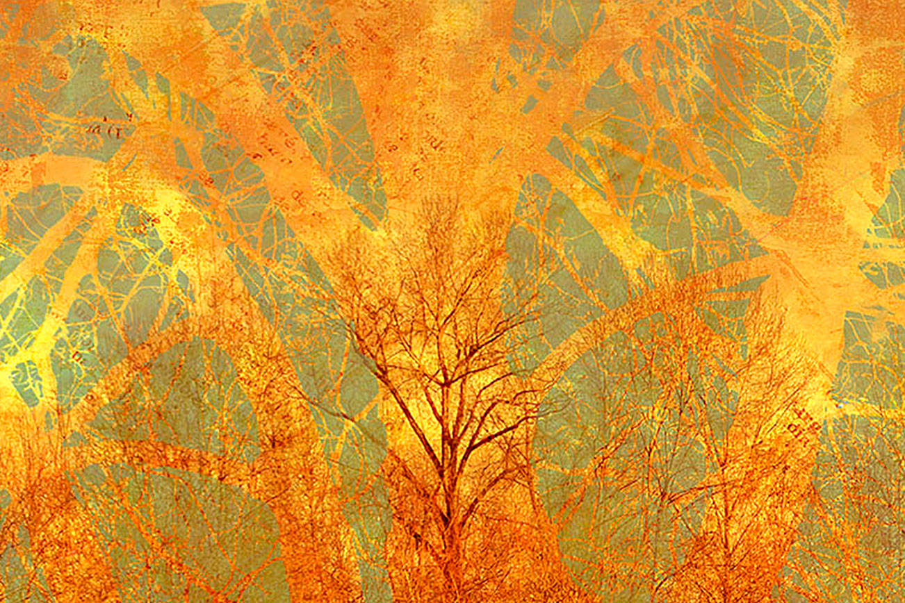 Entries wanted for Kent Arts Commission’s latest Kent Creates exhibit