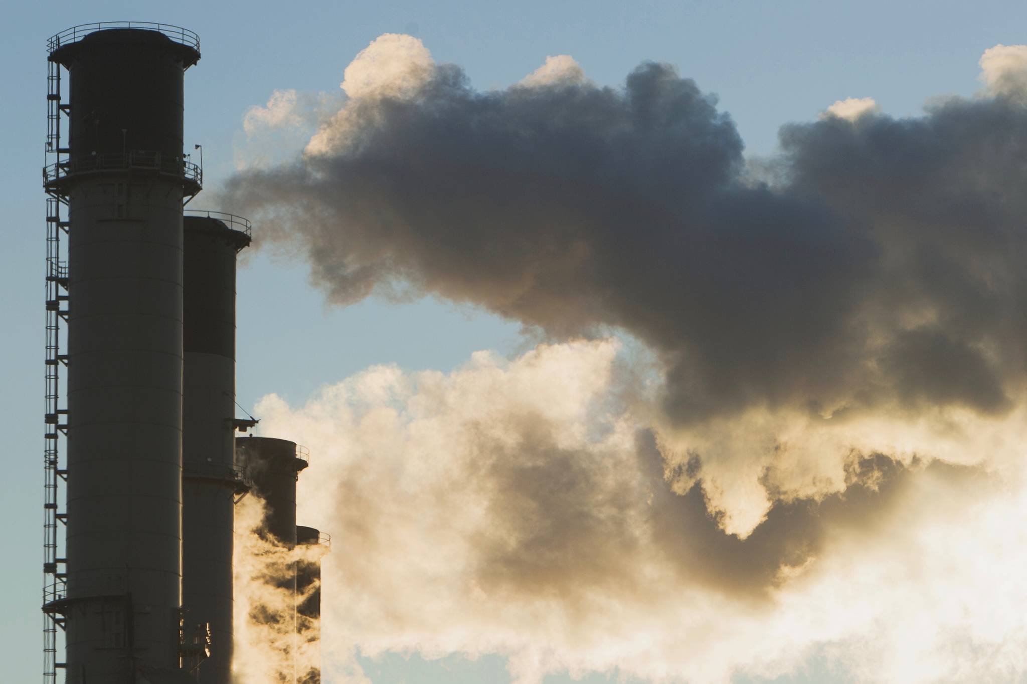 Carbon fee hurts business and families | Brunell