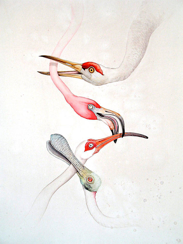 COURTESY IMAGE, City of Kent/Justin Gibbens