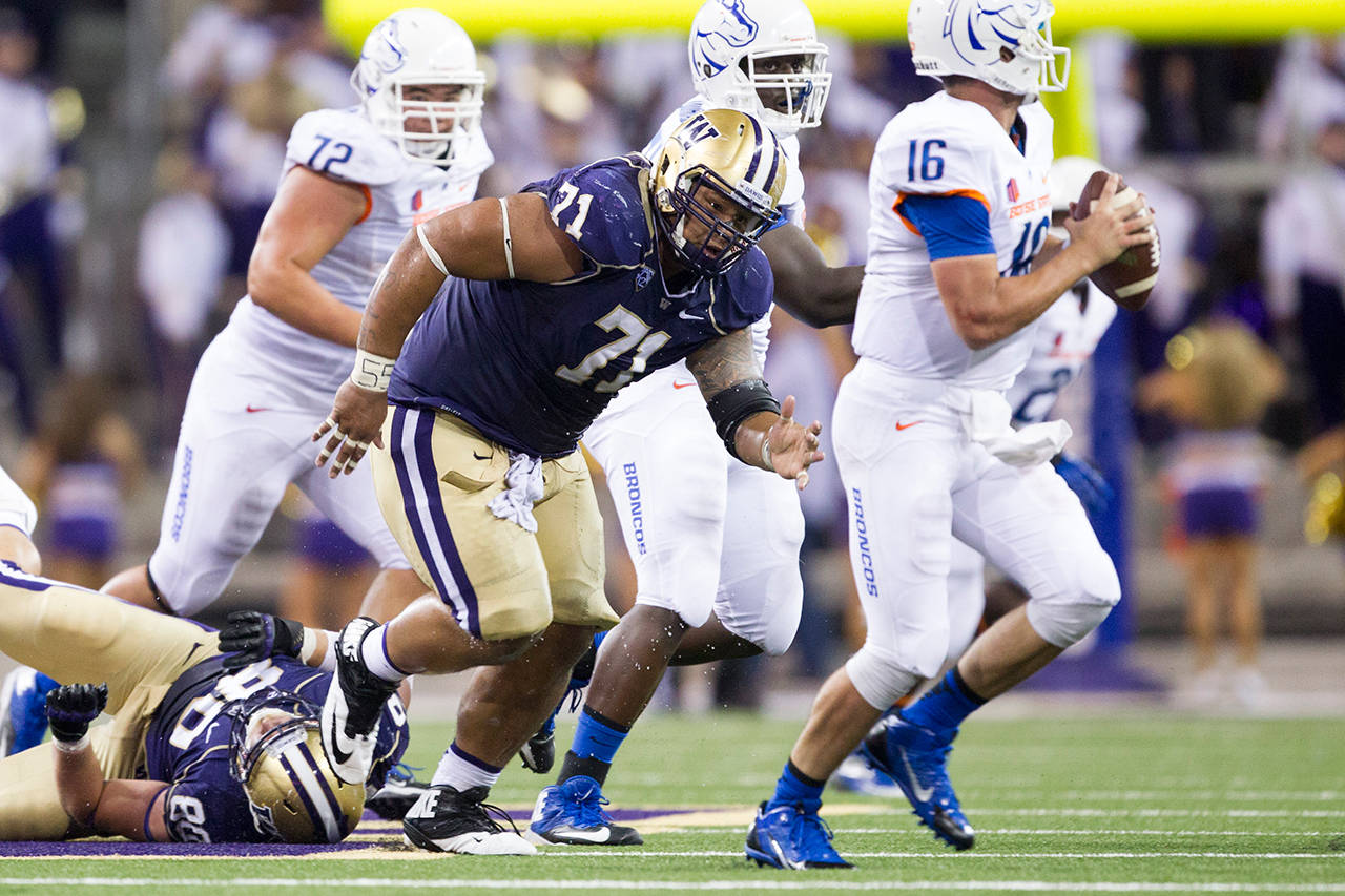 University of Washington defensive lineman Danny Shelton, an Auburn High School product, chases down the Boise State quarterback during a nonconference game at Husky Stadium in 2013. Shelton was a standout performer, a first-round NFL selection. If Rep. Drew Stokesbary had his way, college athletes like Shelton would be paid. The Auburn Republican has introduced legislation that would permit student-athletes enrolled in Washington’s colleges to earn compensation. COURTESY PHOTO, Joe Nicholson/Red Box Pictures