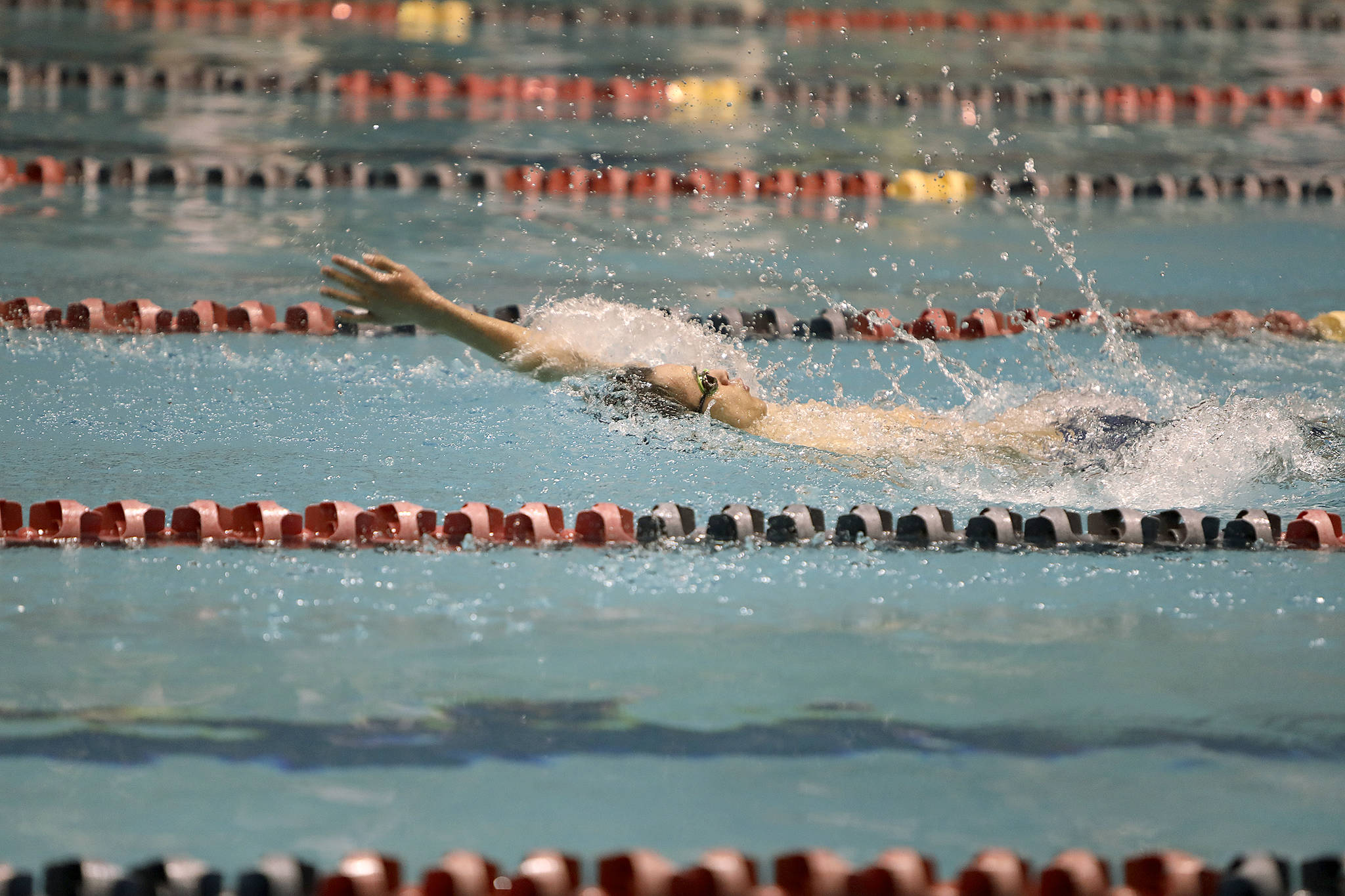 COURTESY PHOTO, Tracy Arnold