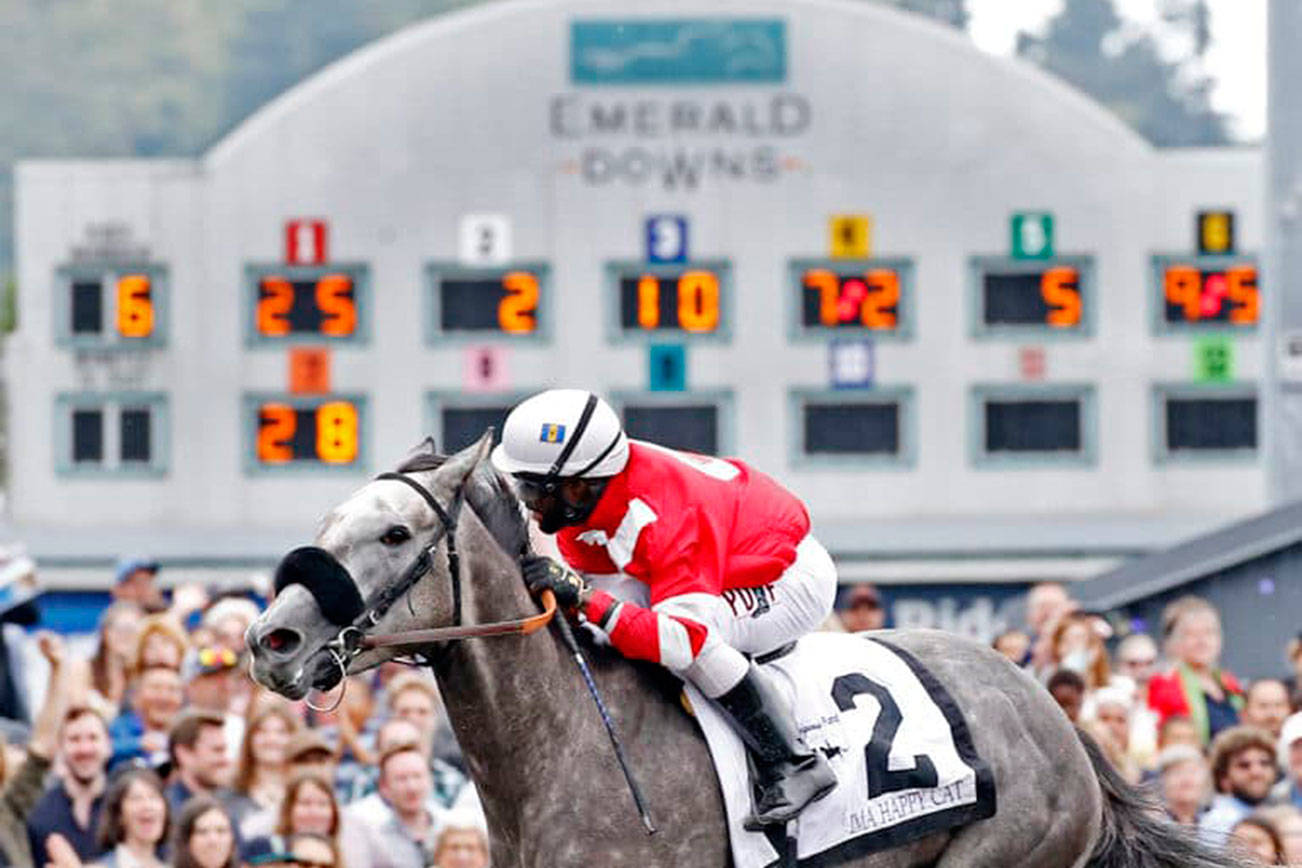 Ima Happy Cat returns to Emerald Downs for Sunday’s running of the Hastings Stakes at six furlongs. COURTESY TRACK PHOTO