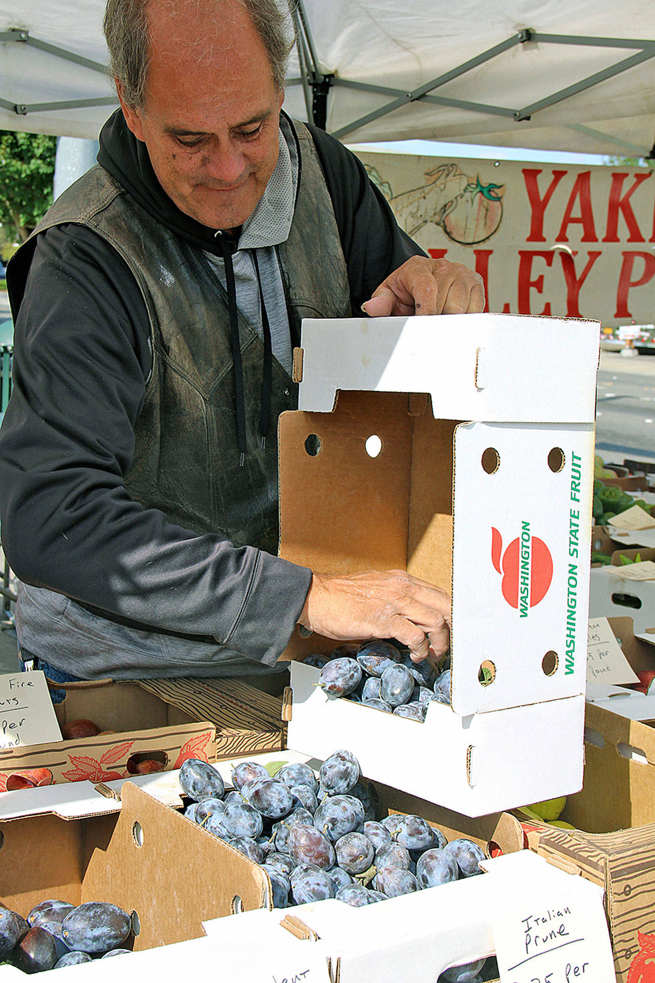 Mike “Ram” Indorf, who along with his wife Sue owns and operates Yakima Valley Produce, refills a box with Italian prunes during closing day in 2017 at the Kent Farmers Market at the Towns Square Plaza. The market has been a Kent Lions community service project since 1974. FILE PHOTO, Kent Reporter