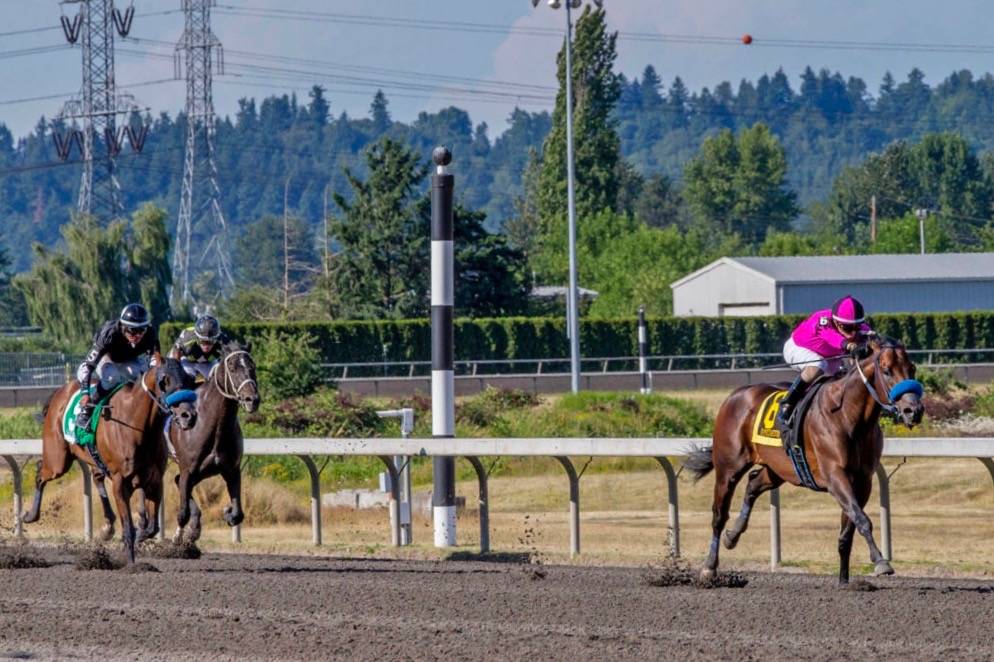 Anyportinastorm, with Juan Hernandez up, runs away with the $50,000 Budweiser Stakes at Emerald Downs on Sunday. COURTESY TRACK PHOTO
