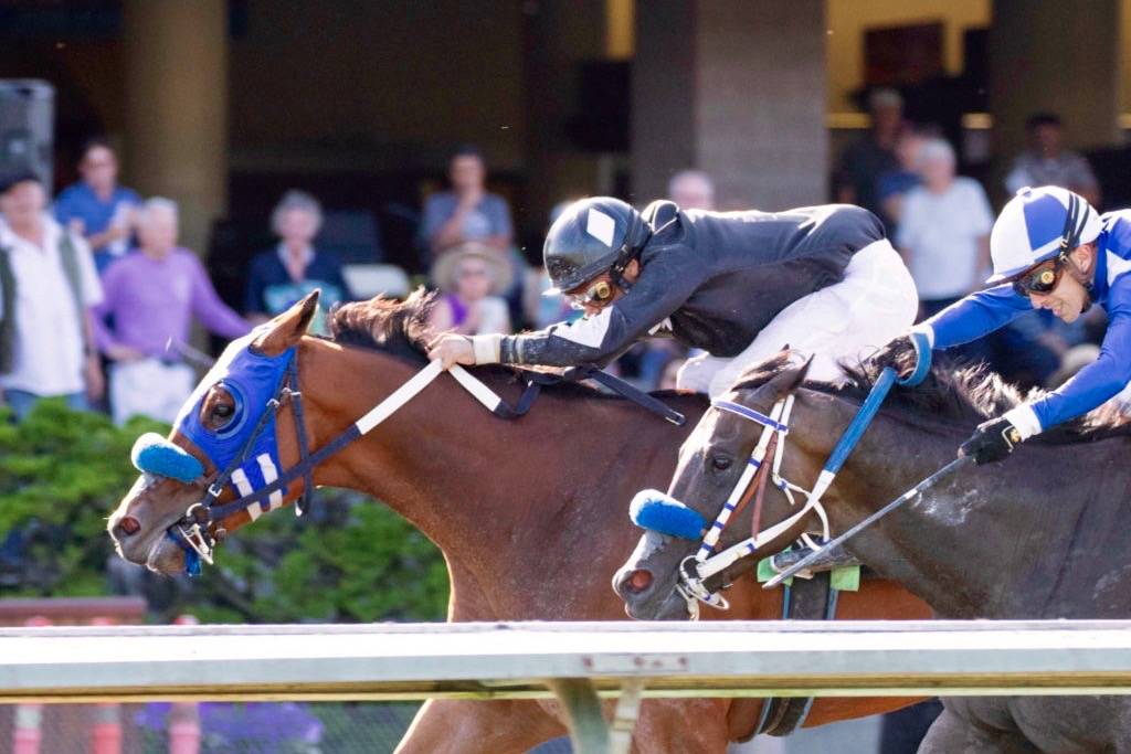 Perfect Dude (blue blinkers) edges Rally Cat in Seattle Slew Stakes at Emerald Downs on Sunday. COURTESY TRACK PHOTO