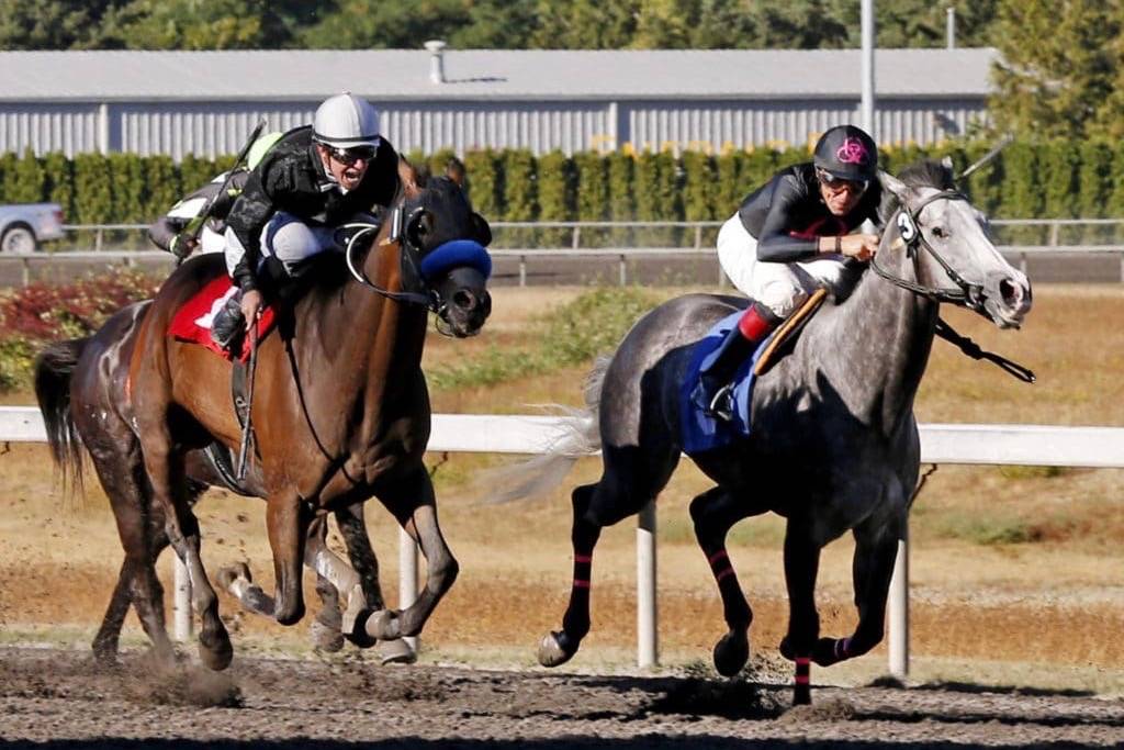 Oh Marvelous Me, left, scoring an allowance victory on Aug. 26, 2017, is the likely favorite in the $50,000 Mt. Rainier Stakes for older horses. COURTESY TRACK PHOTO