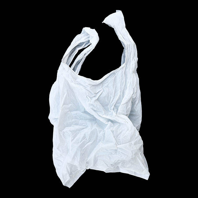 Kent City Council to consider plastic bag ban