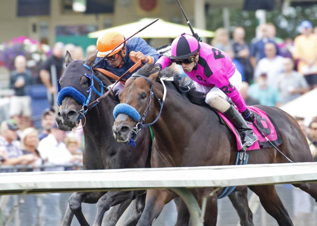 Law Abidin Citizen, left, and Anyportinastorm race head-and-head to the wire in Sunday’s Longacres Mile at Emerald Downs. COURTESY TRACK PHOTO