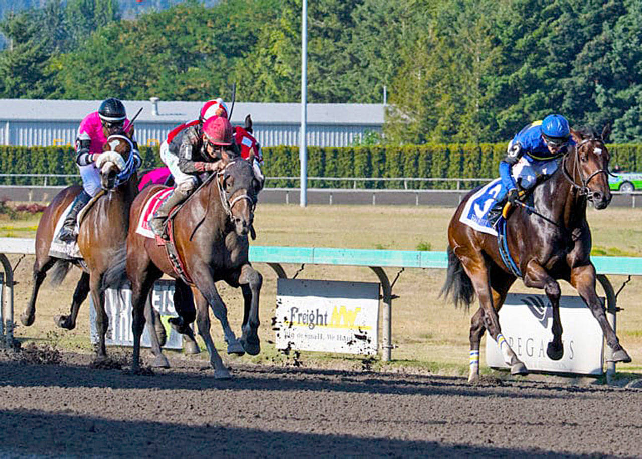 Muncey (No. 1) collars Harbors Rule (No. 3) in WTBOA Lads Stakes at Emerald Downs on Sunday. COURTESY TRACK PHOTO