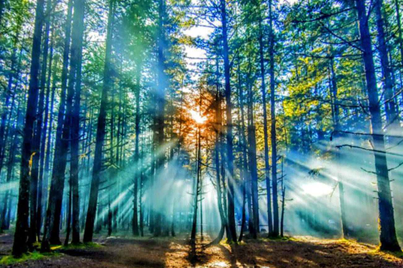 Five artists win latest Kentcreates.com exhibit