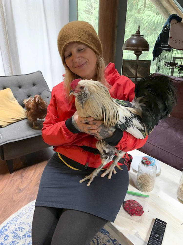 Jenny Rae, Rooster Haus Rescue founder, with Reggie the rooster. Natalie DeFord/staff photo