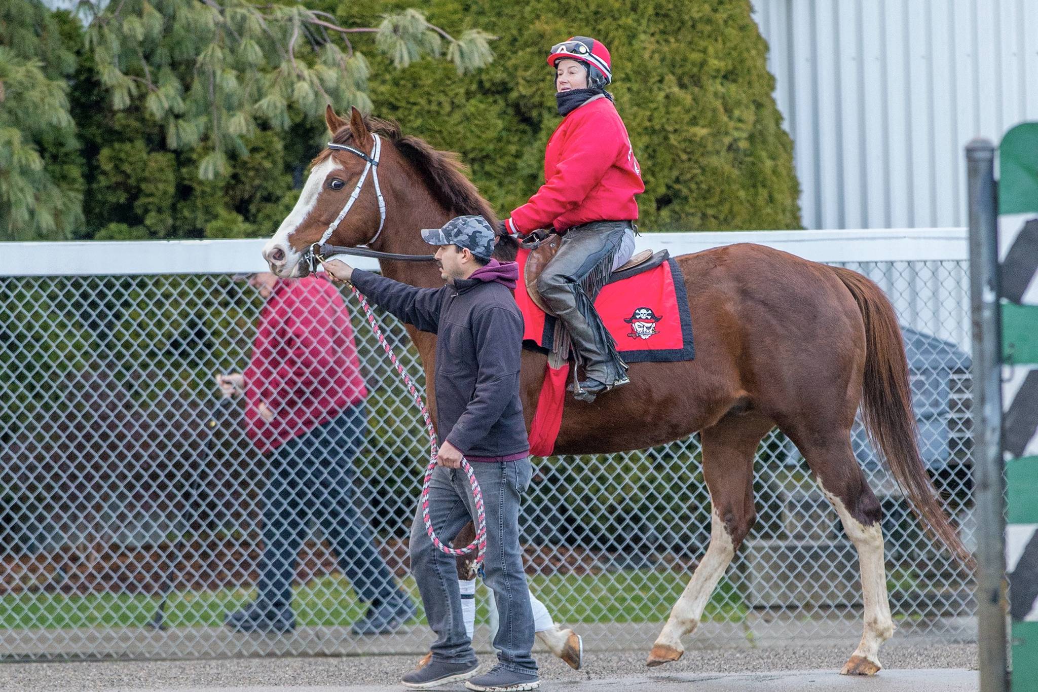 Horses are back: Thoroughbred training begins at Emerald Downs