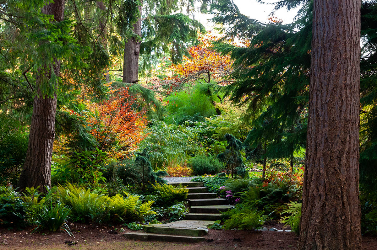 Federal Way’s Powells Wood uniquely combines a lush pleasure garden and native woodland within a 40-acre nature preserve.