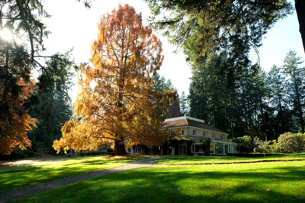 Tacoma’s 10-acre Lakewold Gardens features lush English-inspired gardens and a rich woodland, with a Georgian-style mansion overlooking Gravelly Lake.