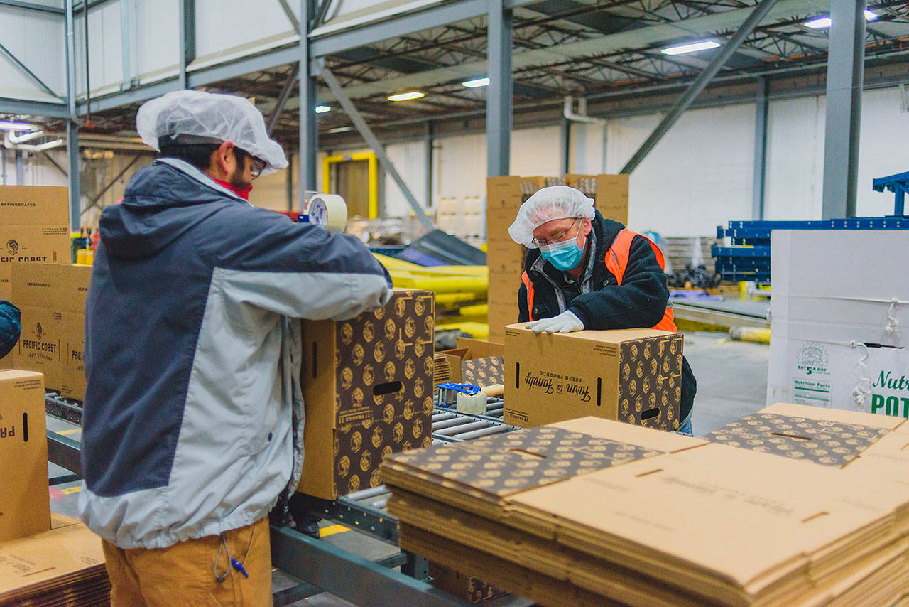 Workers at Pacific Coast Fruit Co., in Portland, prepare food boxes for distribution as part of a federal program. The company also has a Kent warehouse. COURTESY PHOTO, Pacific Coast Fruit