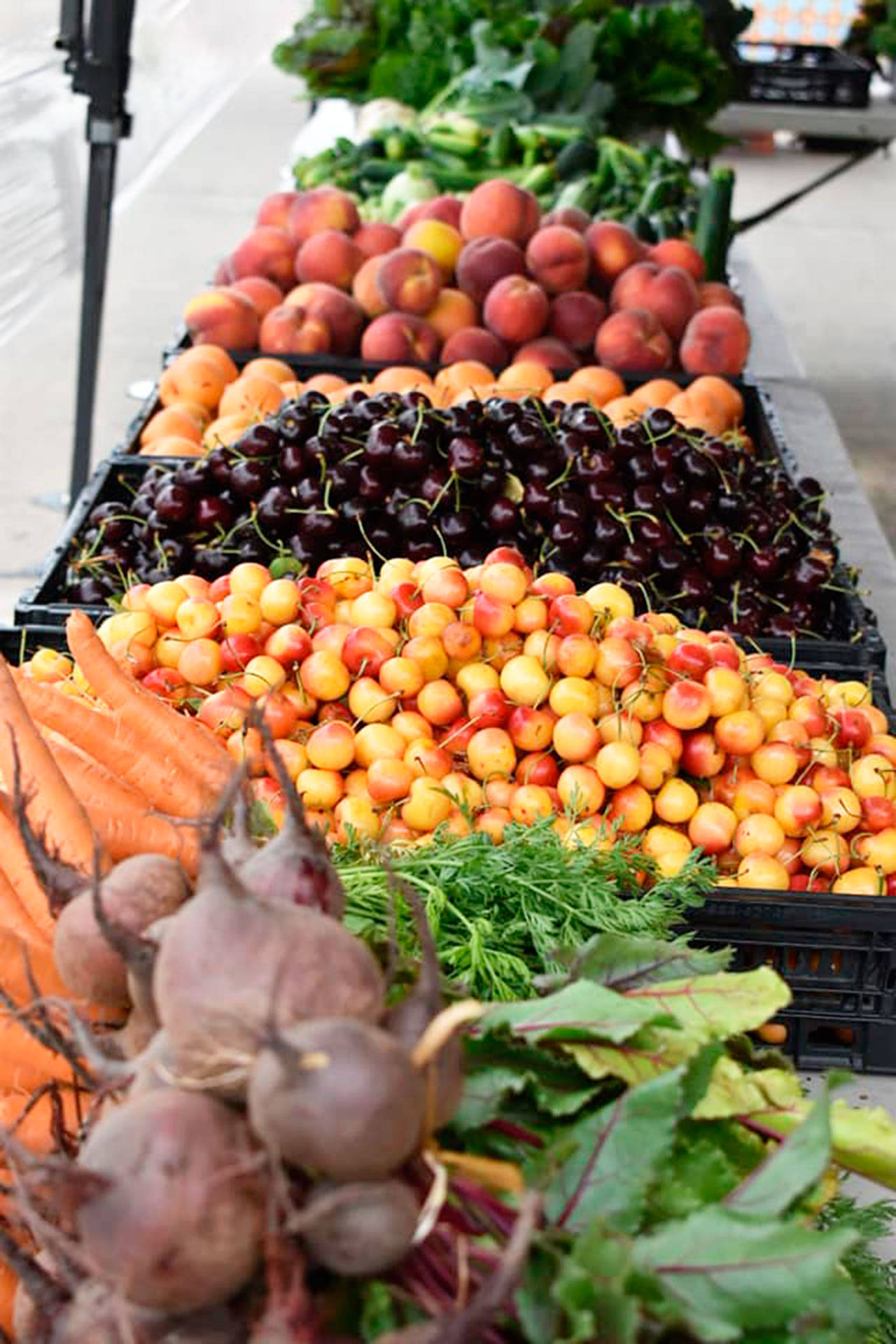 Kent Farmers Market open each Saturday through Sept. 26 Kent Reporter