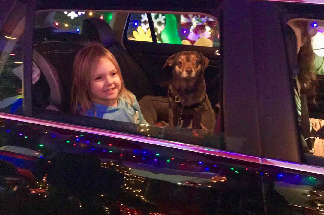 A child and dog look at the Candy Cane Lane drive-thru display during the Dec. 12 event at Hogan Park and outside the Kent Valley Ice Centre. COURTESY PHOTO, City of Kent