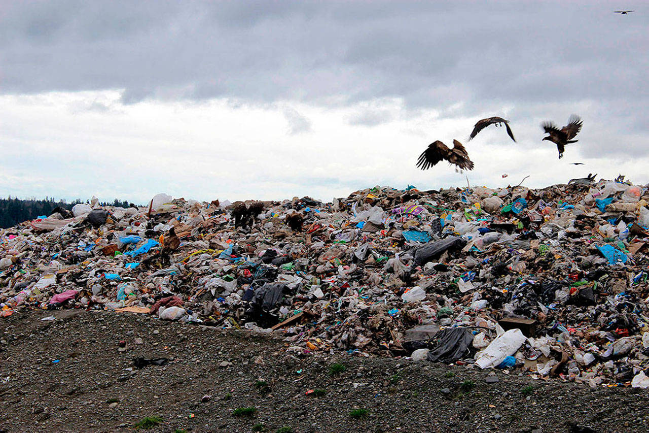 Garbage at the Cedar Hills Regional Landfill in Maple Valley. FILE PHOTO