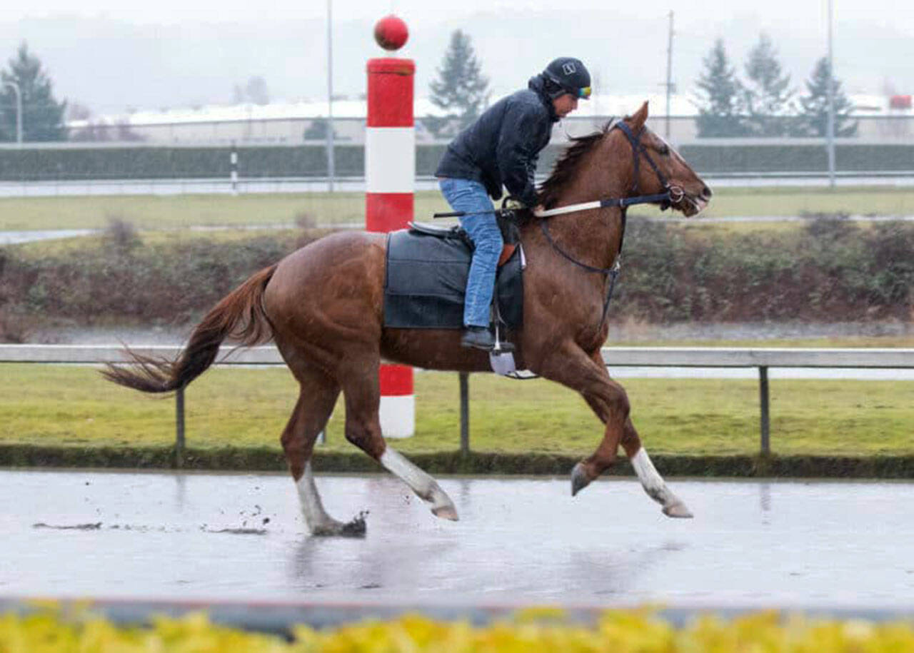 Windribbon, with exercise rider Coco Lopez in the saddle, splashes over a sloppy opening day track for training Monday, Feb. 28 at Emerald Downs in Auburn. COURTESY PHOTO, Emerald Downs