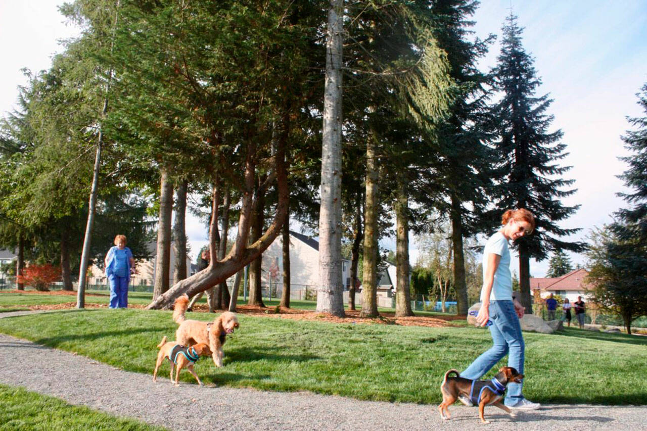 Renovations are planned for this summer at Morrill Meadows Park in Kent. Renovations were done in 2019 that included an enhanced leash-free dog park area. FILE PHOTO, Kent Reporter