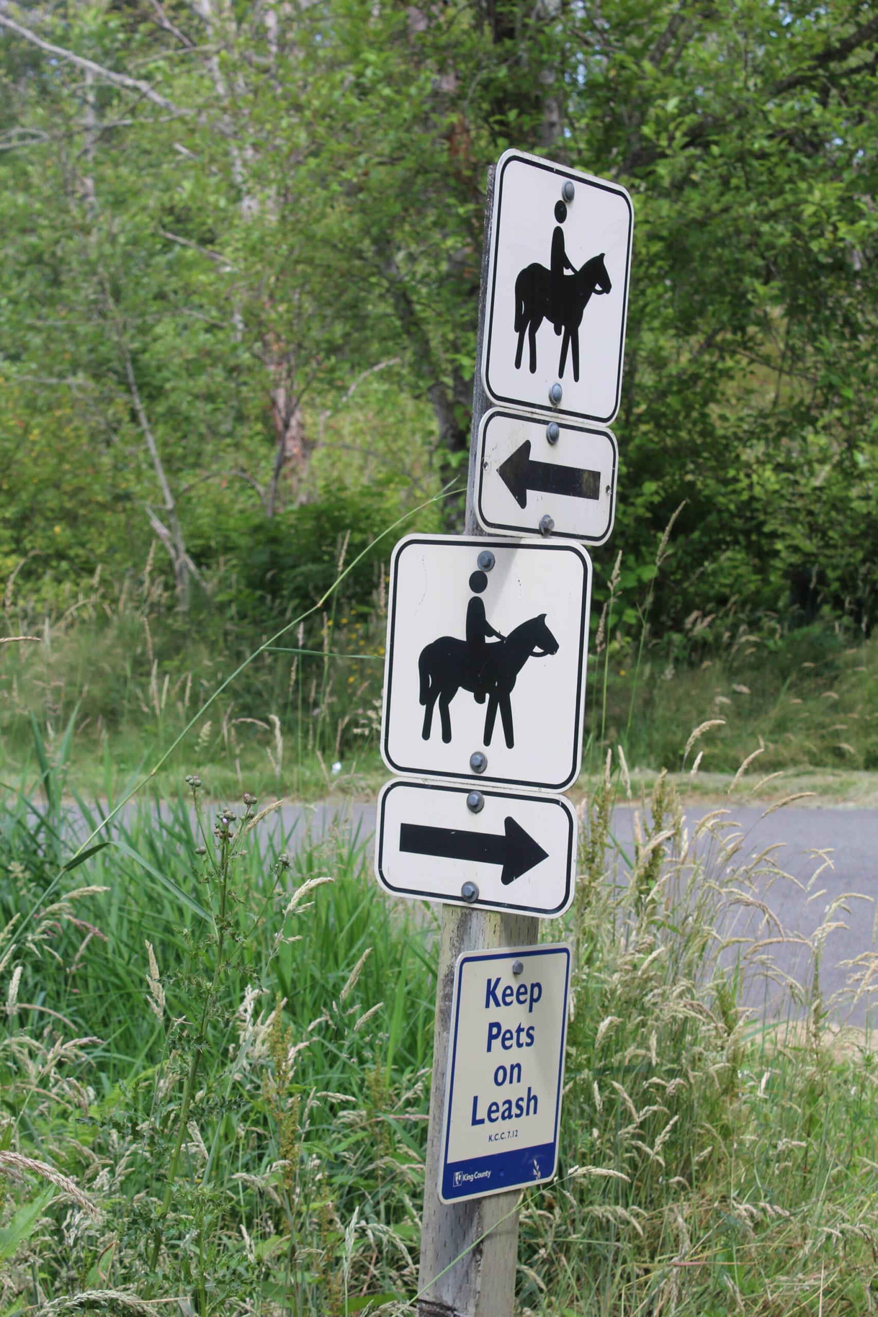 Equestrians who use the Soos Creek Trail for trail riding hope to have a parking lot for trailers in the new community park. Photo by Bailey Jo Josie/Sound Publishing.