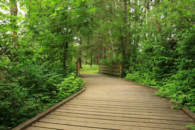 A trail through Clark Lake Park on the East Hill in Kent. COURTESY PHOTO, City of Kent