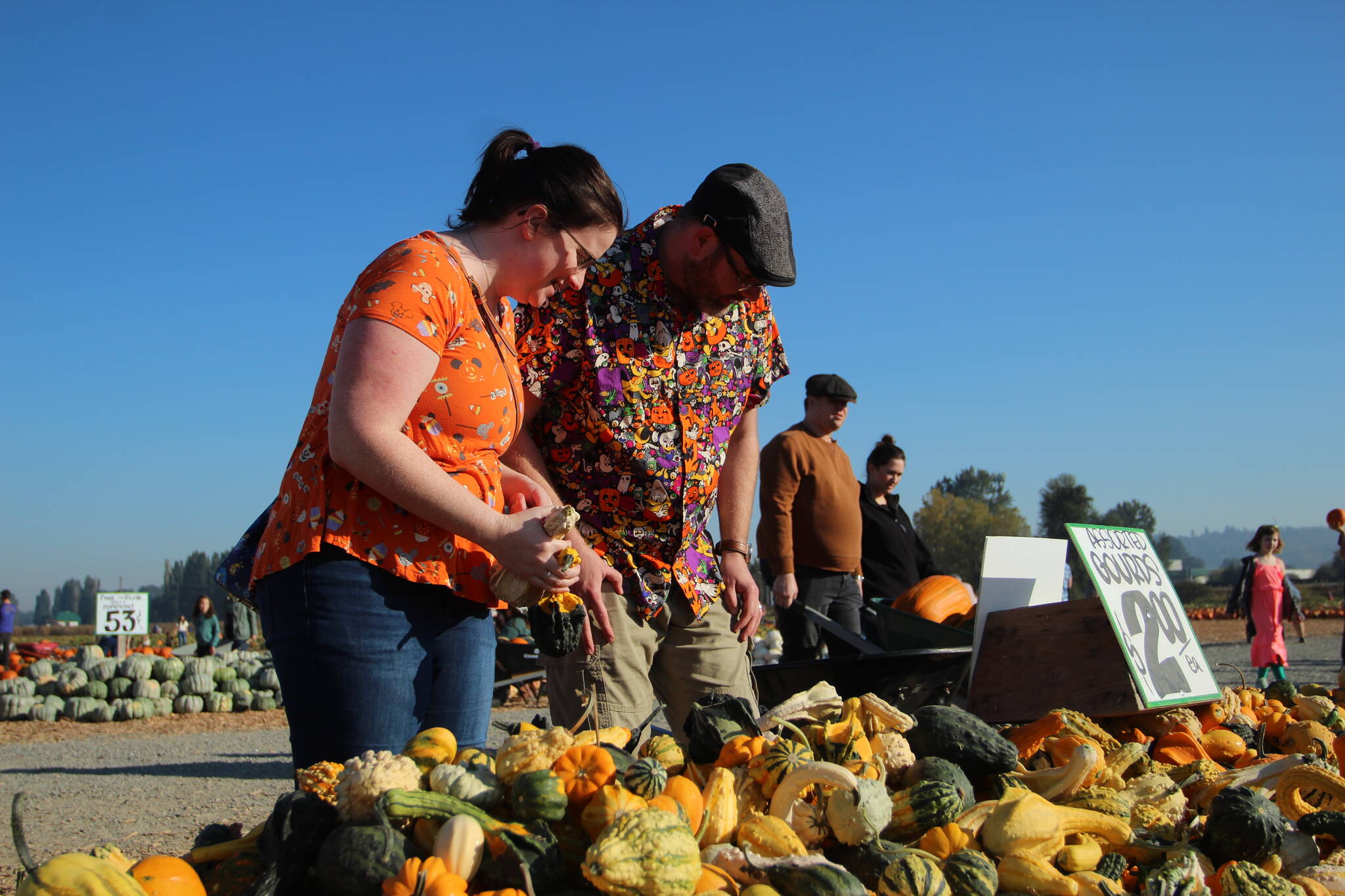Cassandra and Scott Atkinson of Kent survey gourds on Oct. 16. They visit the Carpinitos’ pumpkin patch every year. 
Olivia Sullivan
Sound Publishing